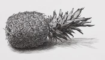 湘南美術学院の作品群の画像04